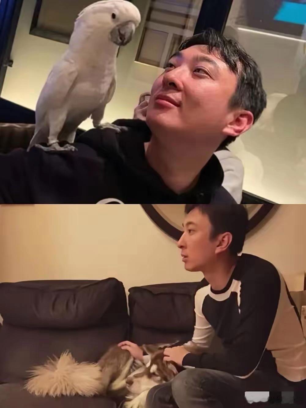 你敢信，富二代中最孝顺的那个人出现了，他就是王思聪。据说他老爸给的5个小目标，被
