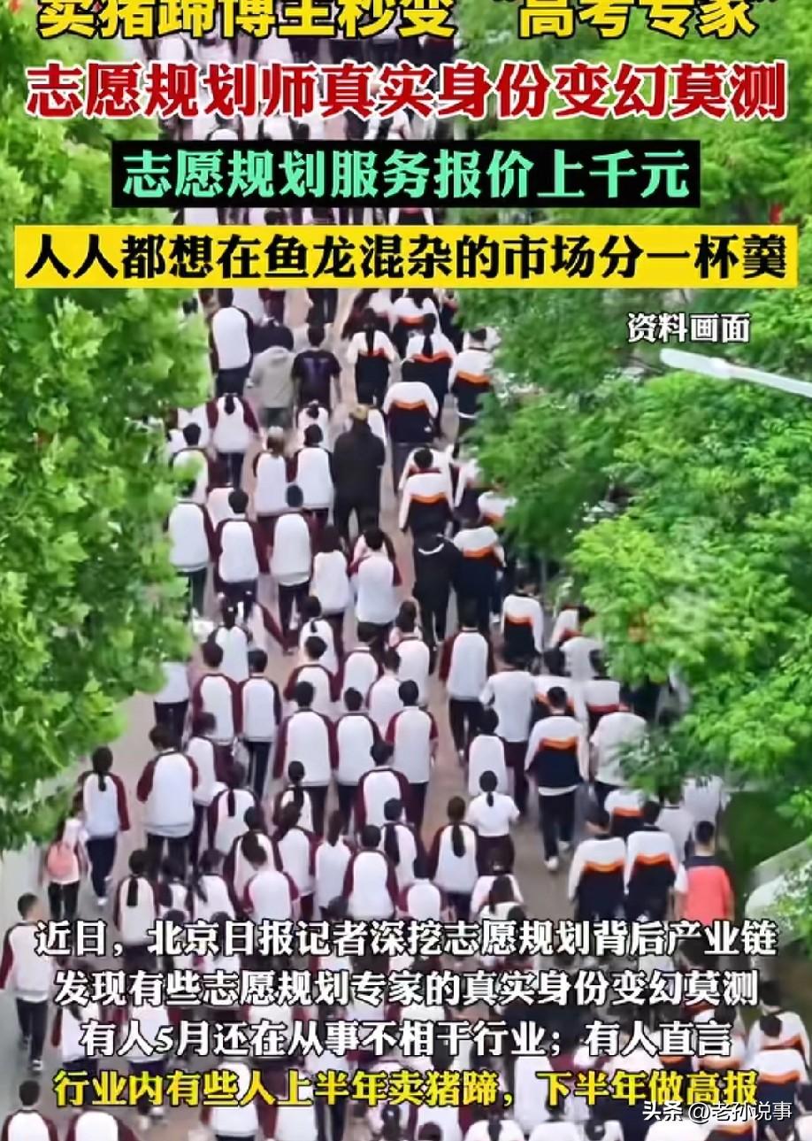 你有没有想过，你花大几千请来的高考志愿填报专家，上半年可能还在卖猪蹄？6月1