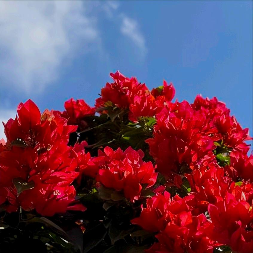 12月22日  “十五五”规划《纲要草案》编制工作领导小组会议传递出的3个民生