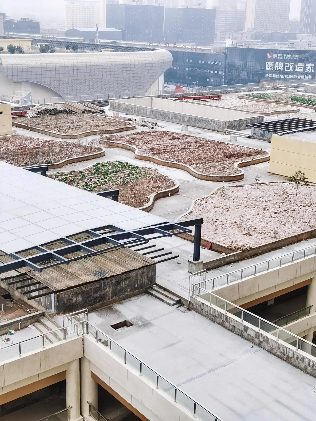 零下2度左右就下这点点雪，楼顶没人走过，还能保持薄薄的一层，以结成冰冻了，202