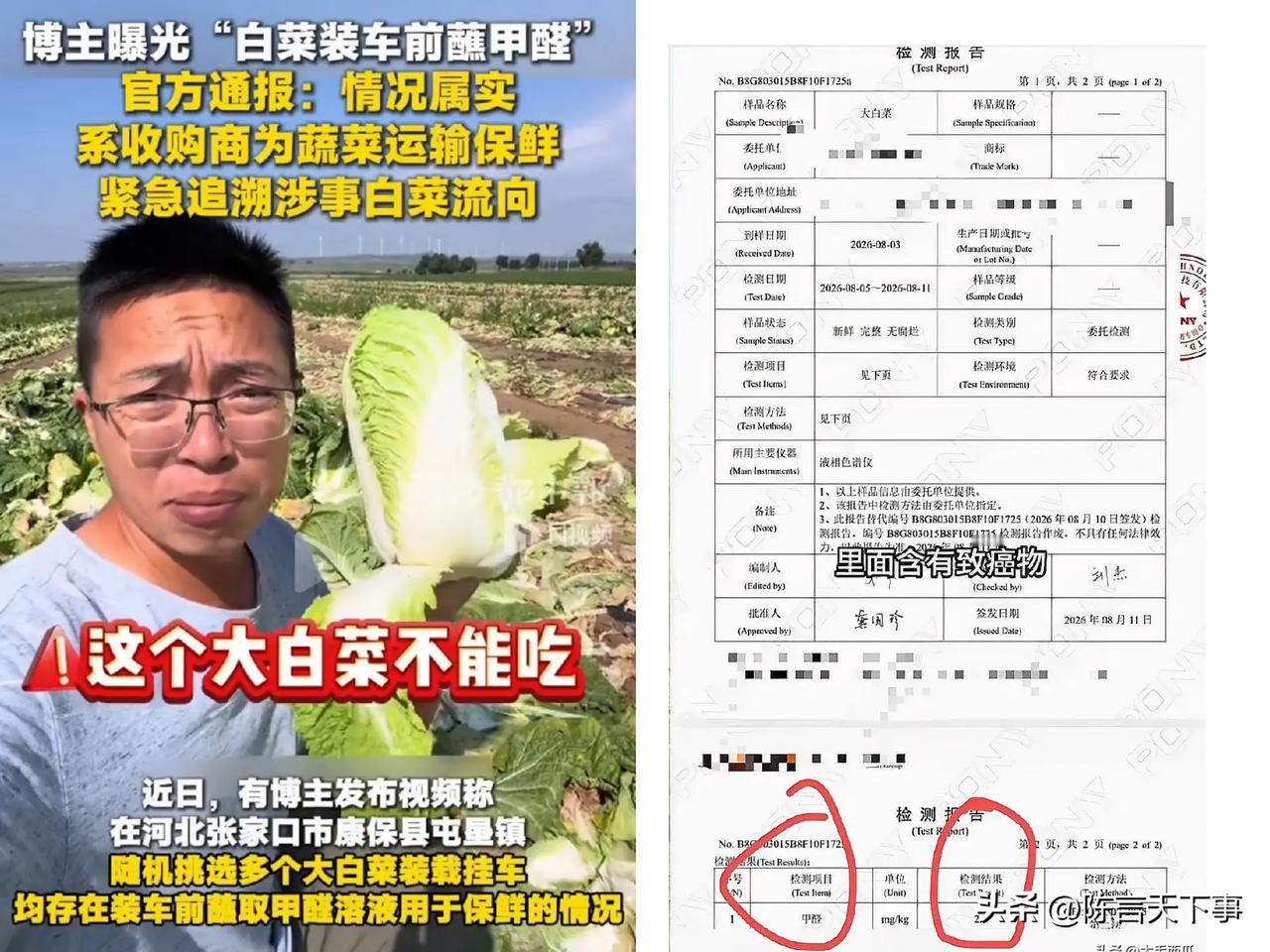 难怪会有越来越多的人得“癌”，连白菜都蘸甲醛，吃进去没问题才怪！这事不是危言