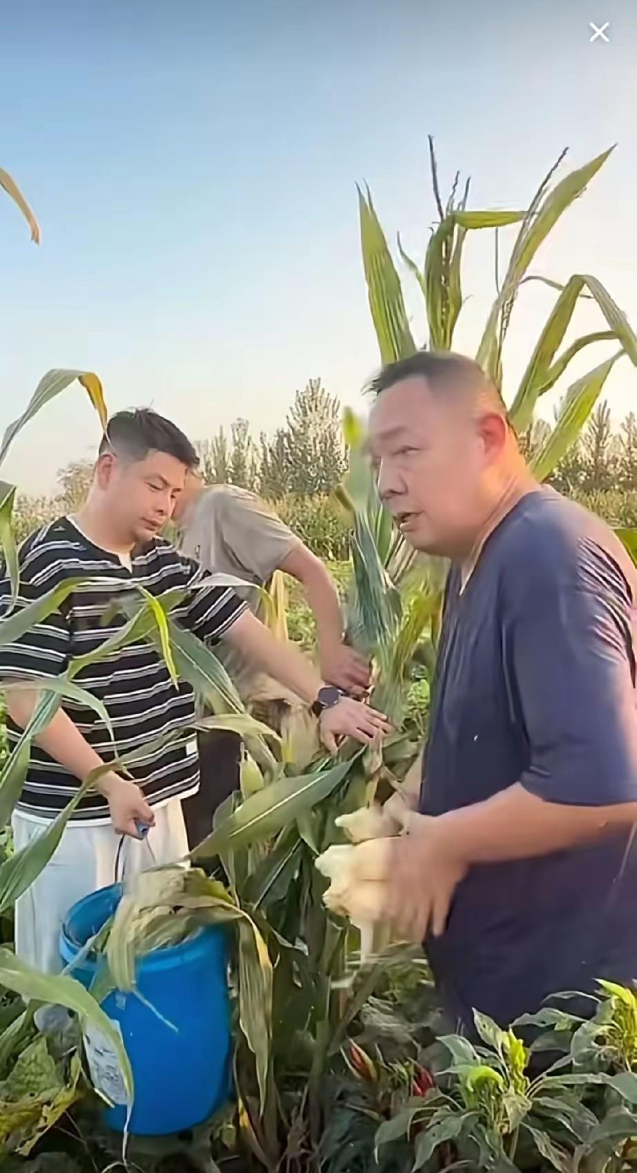 不要光看表象，低估人性！老于于东来这些年苦心经营起来的“人设