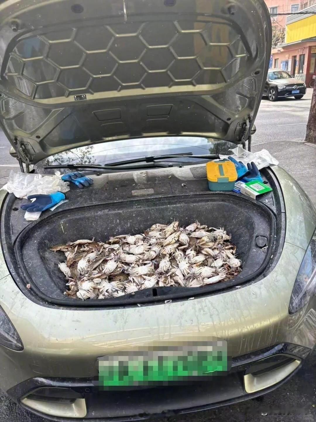 车主我承认你是个狠人[狗头]