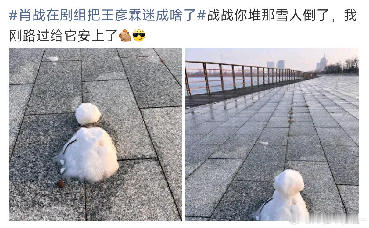 笑死我了肖战你的小雪人要化了还是新鲜的欸今天上午堆的中午就发了😋🤲?