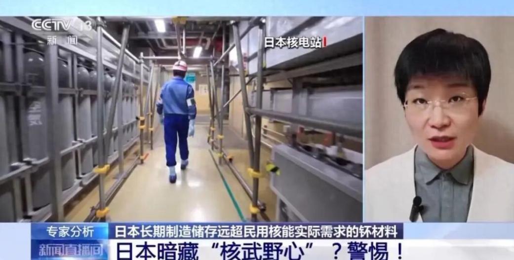 /说到做到，中国正式官宣：对日本重要核矿产资源进行限制！11月21日在国际原子能