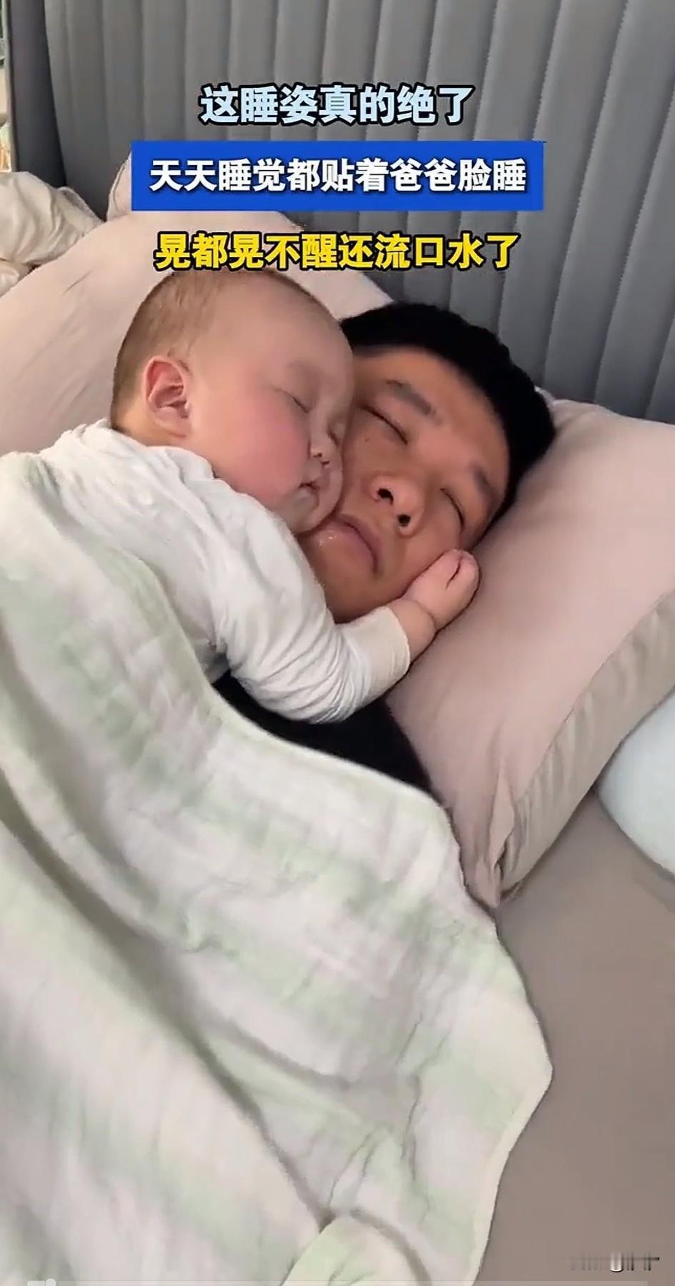 抱着睡姿真的绝了，带爸爸的身上，然后用他那柔软的大脸，就贴在爸爸的脸颊上，