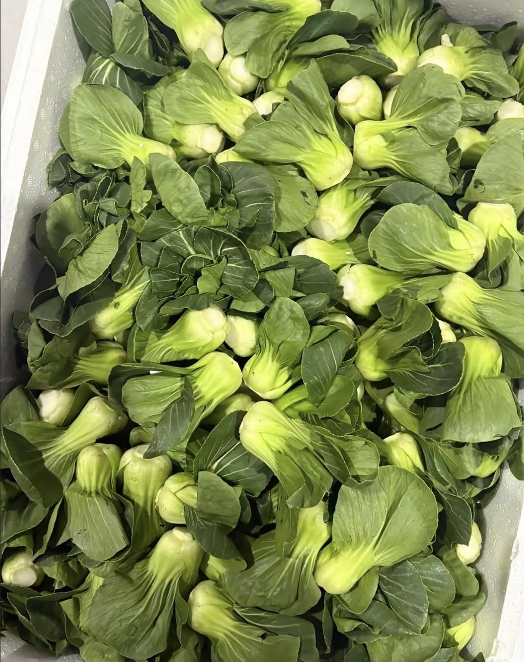 昨晚在菜市场闲逛时碰见李姨，她一边收拾菜筐一边跟我聊：