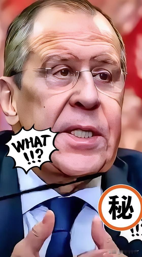 就在今天，俄罗斯外长重磅表态！12月10日，俄罗斯外长拉夫罗夫在联邦委员会