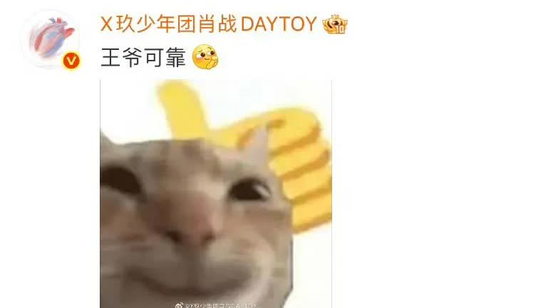 才短短几天，肖战已经发了这么多表情包了，不是猫猫就是狗狗，剧宣就是这个小赞赞爽发