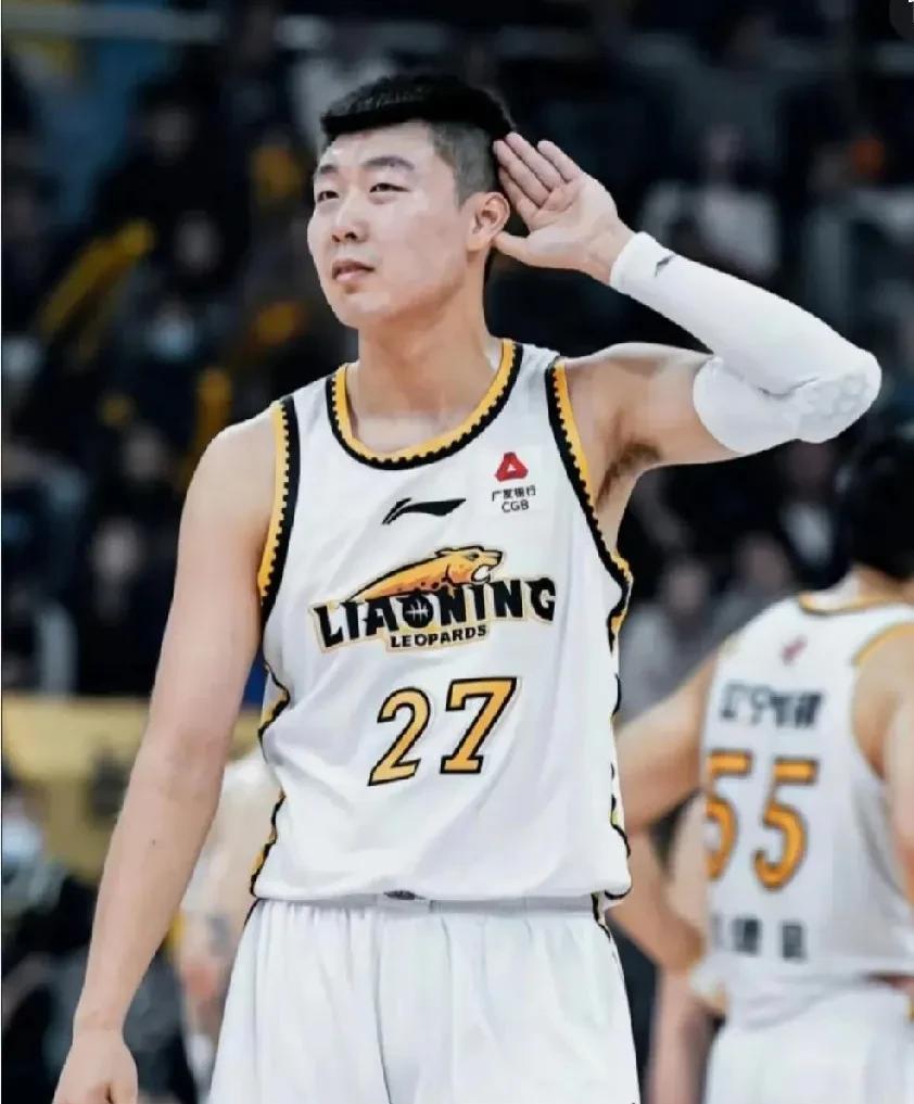 辽篮酝酿的这几大交易也太吓人了：一、萨姆纳准备用赵率舟/俞泽辰+现金换取四川