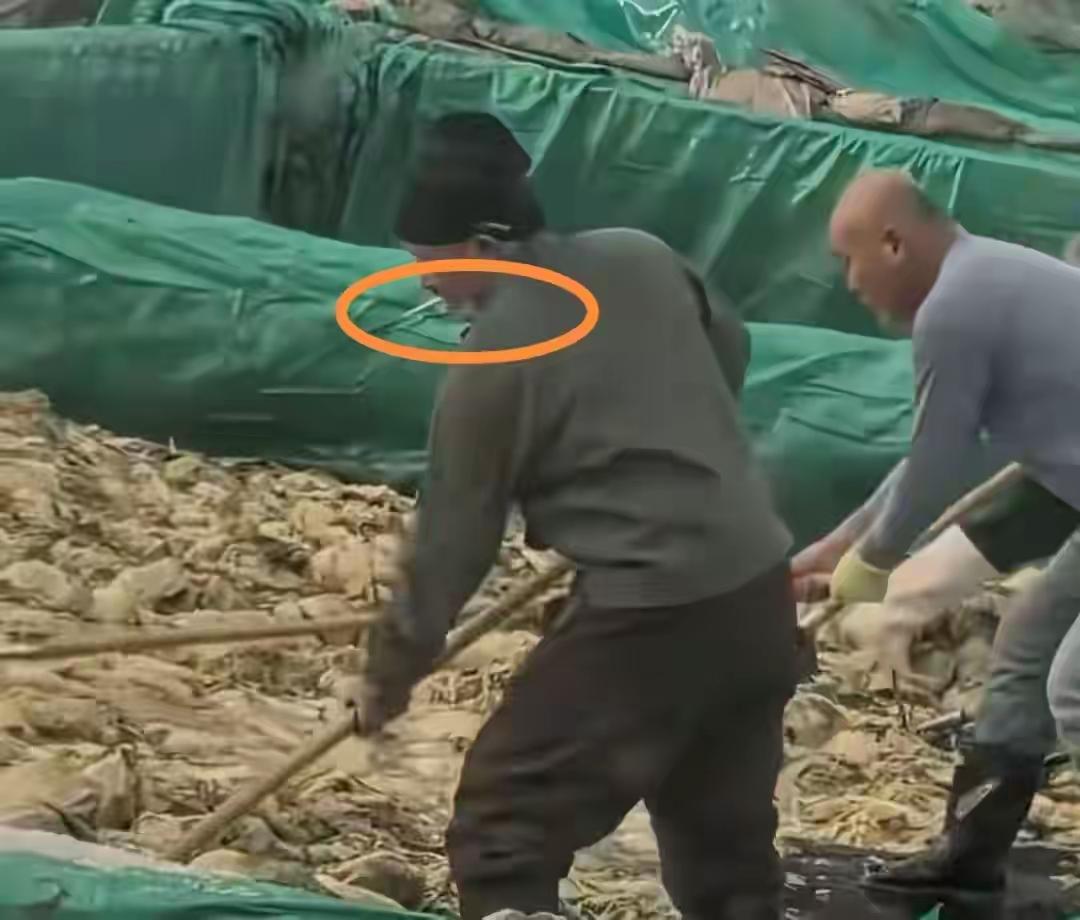 太恶心了，一人干翻一个行业，吃的还真是老“痰”酸菜。在网上刷到了一个50多岁