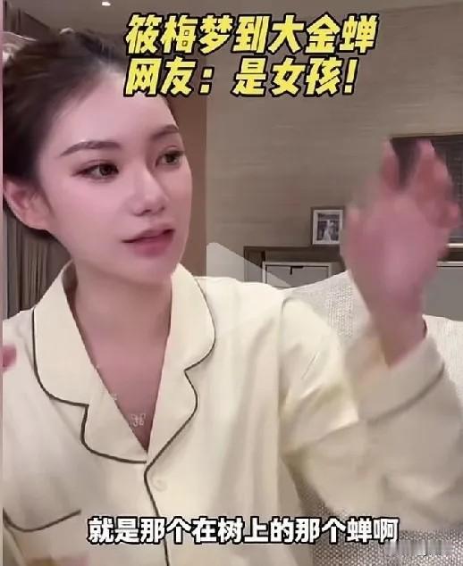 马筱梅做胎梦了？昨晚，马筱梅直播谈自己前几天做了一个梦，梦到一只很大很大的蝉，