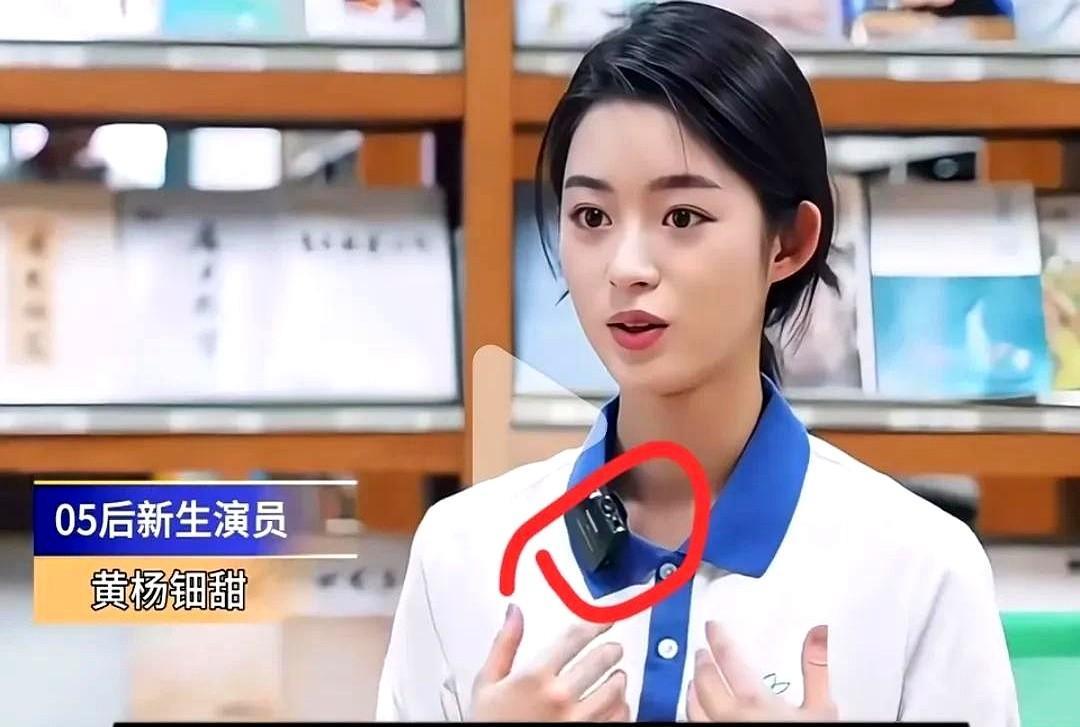 珠宝是假的，别墅是借的，儿子是别人暂时寄养的，听说公司竟然说是同名同姓的人开的。