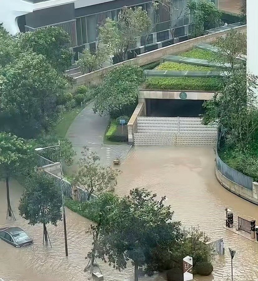 这物业费交的一点都不冤​​​