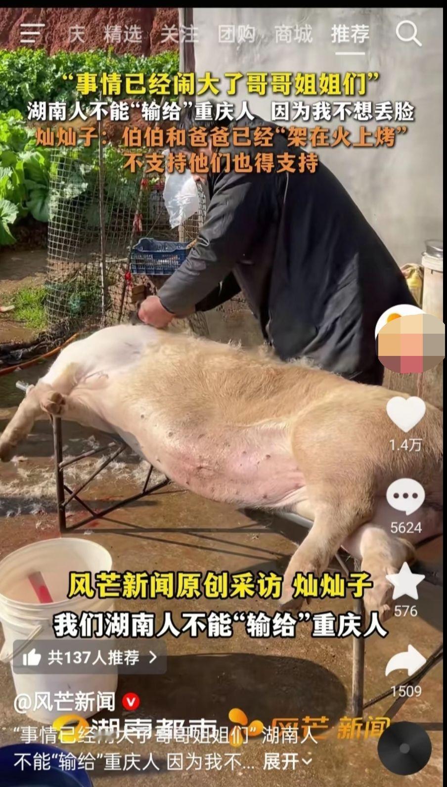 问一个问题：这么多跟风的，为什么就灿灿火了？自从呆呆杀年猪火了之后，跟风的一