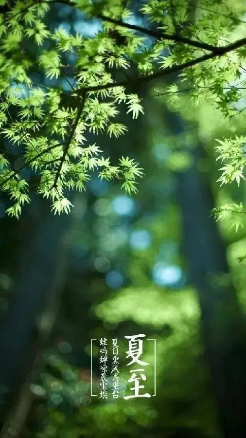 “手机锁屏壁纸｜夏至而至。”