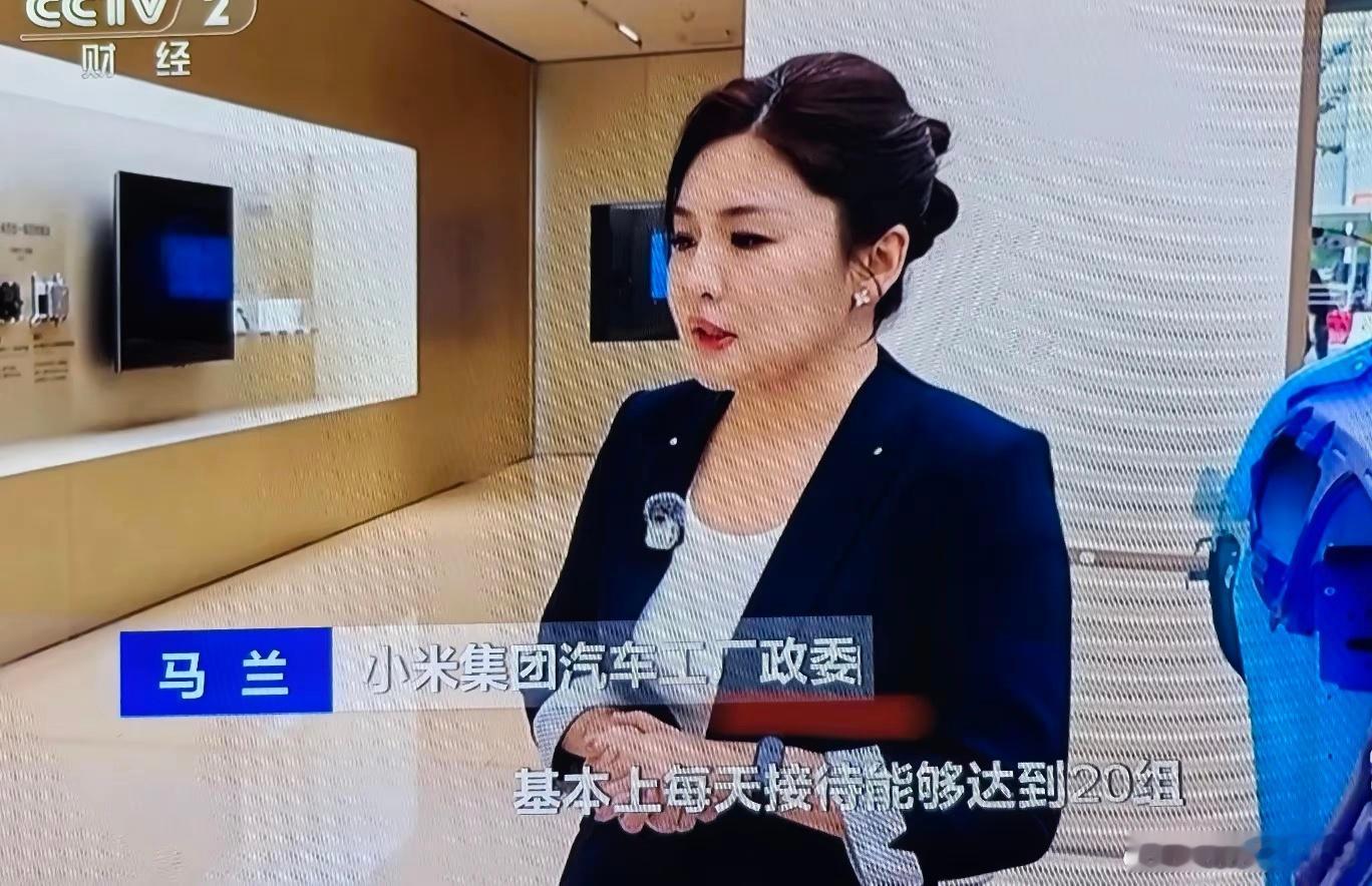小米有政委这个职务不是很正常吗？99%的大型企业都有党支部，里面都有这个职位。