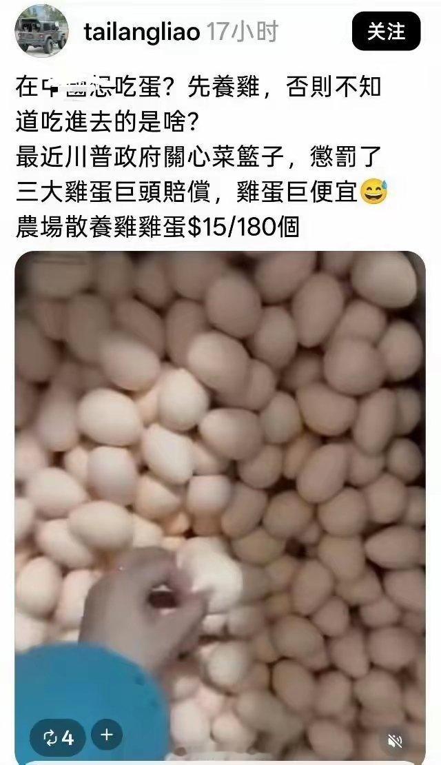 大多数情况下，看到这些青鸟不是生气，而是感到好笑。因为没有他们，这世界上少了很多