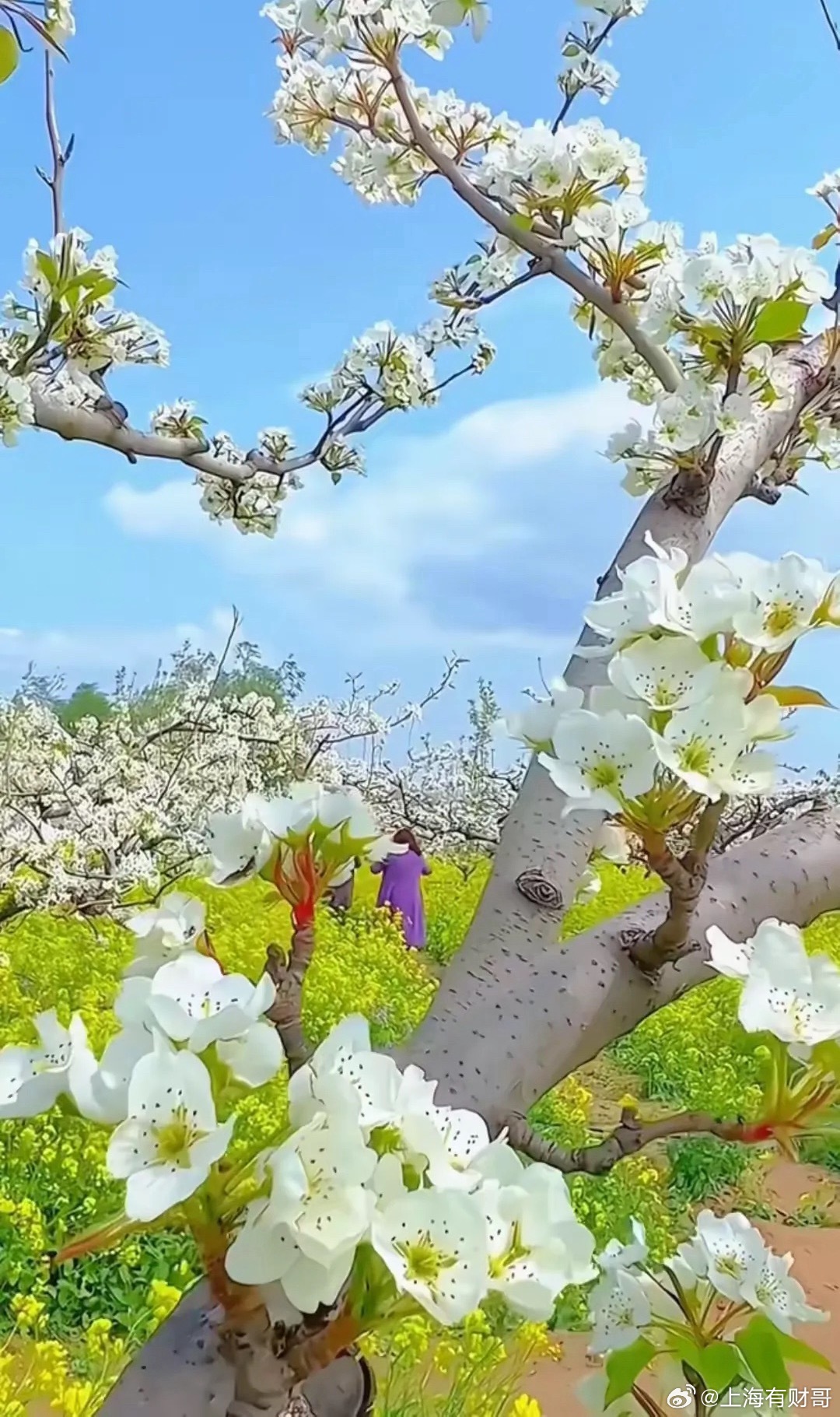 🔥科技主线（AI算力+硬核科技）1.脑机接口：从医疗走向消费级试点，技术突