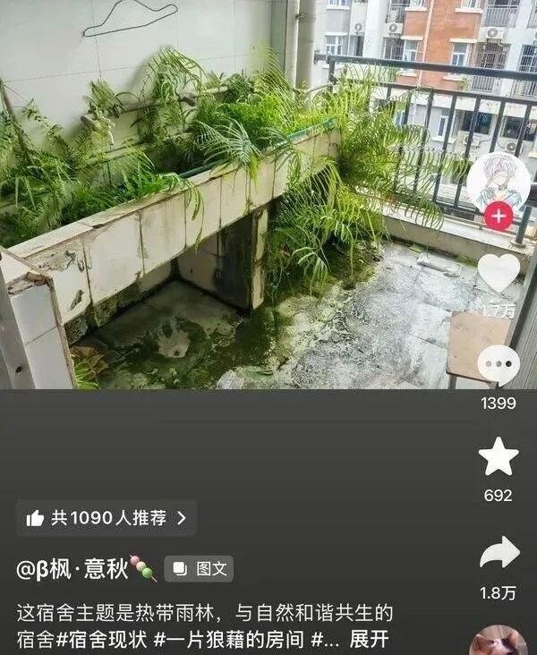 接仇人住的任何阶段宿舍​​​