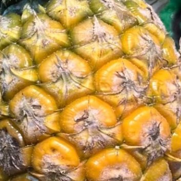 0000菠萝的种植方法一、准备菠萝：选一个金黄色果皮、有香味且无病虫害的菠萝