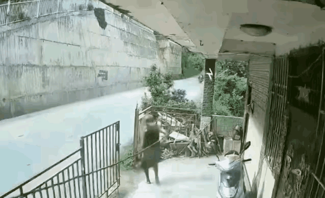 这家人非要占一米多路面拉个小院，院子门还朝外开，开关门的时候几乎把路占了一半。门