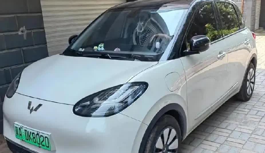 刚买的电车五菱缤果又要搁置了真是后悔死了不如不买呢劝着急买车的友