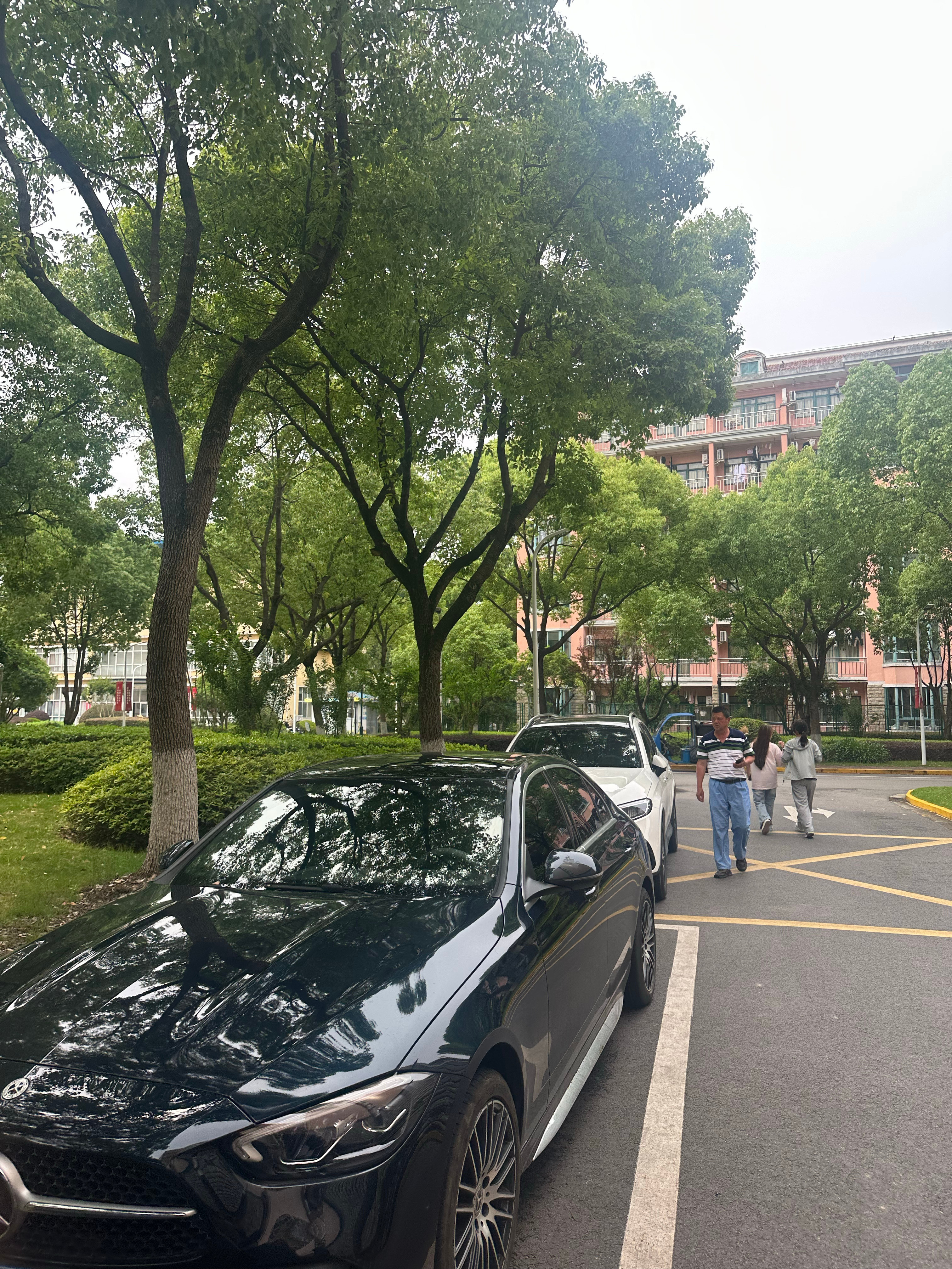 夏天别把车停在樟树下，知道为啥不日常分享我与汽车的日常