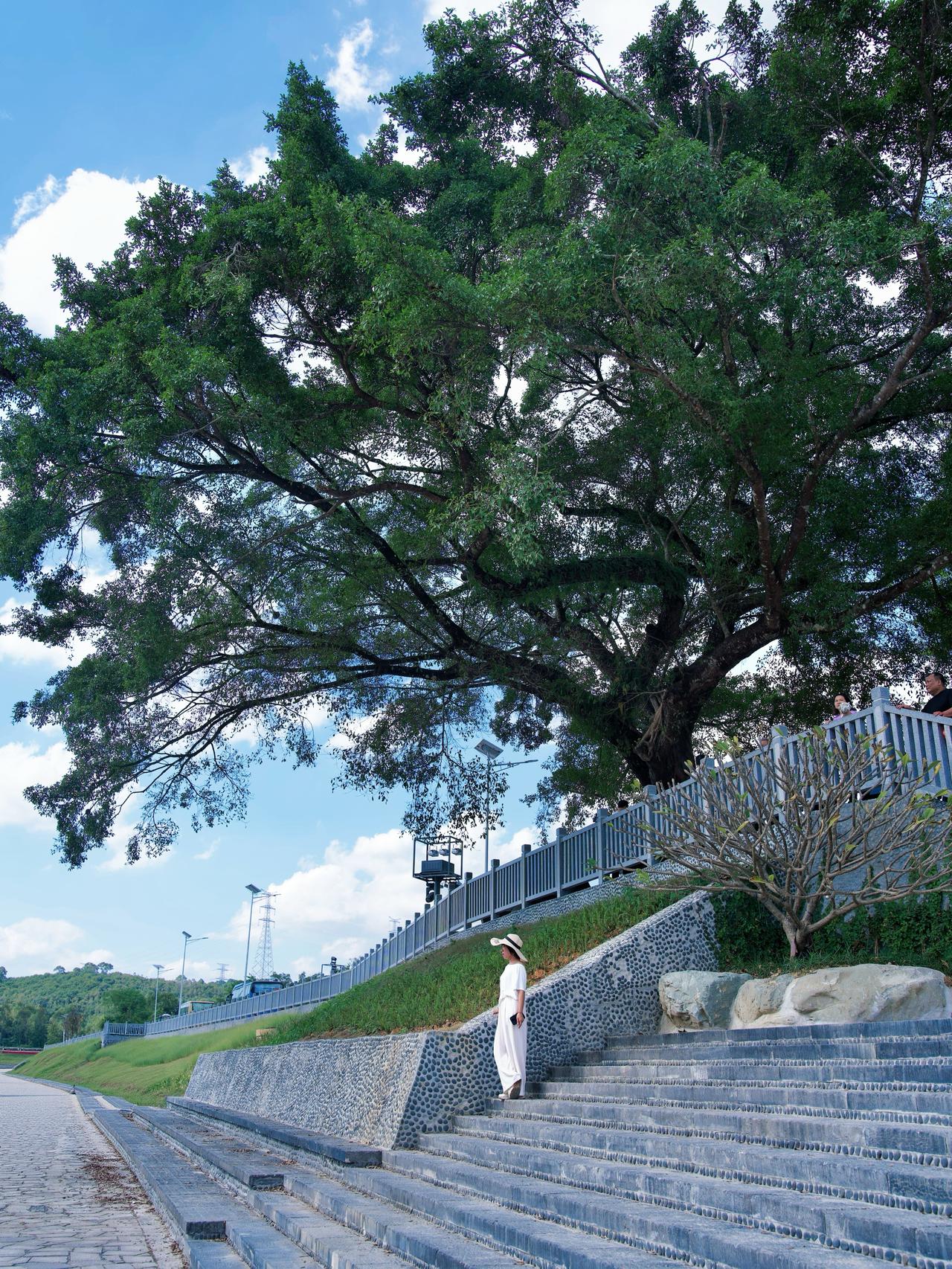 小叔子给老公打电话，说借5万块钱凑首付买房，半年内就还。公公还帮腔说：还不上就拿