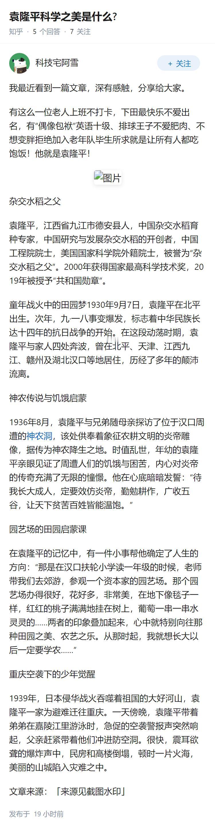 袁隆平科学之美是什么?