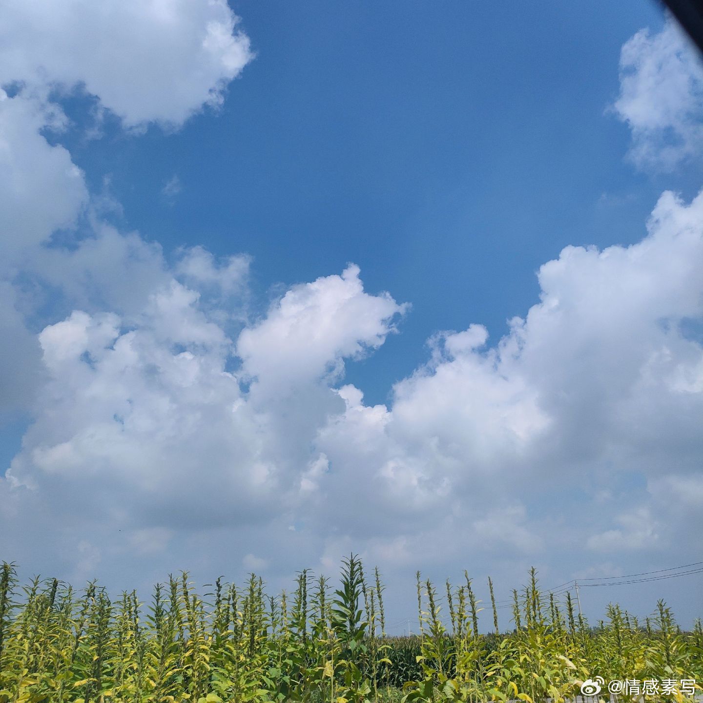 情感某人，我知道你放弃我了，估计不愿意再和好，我再怎么爱你，也得尊重你的选