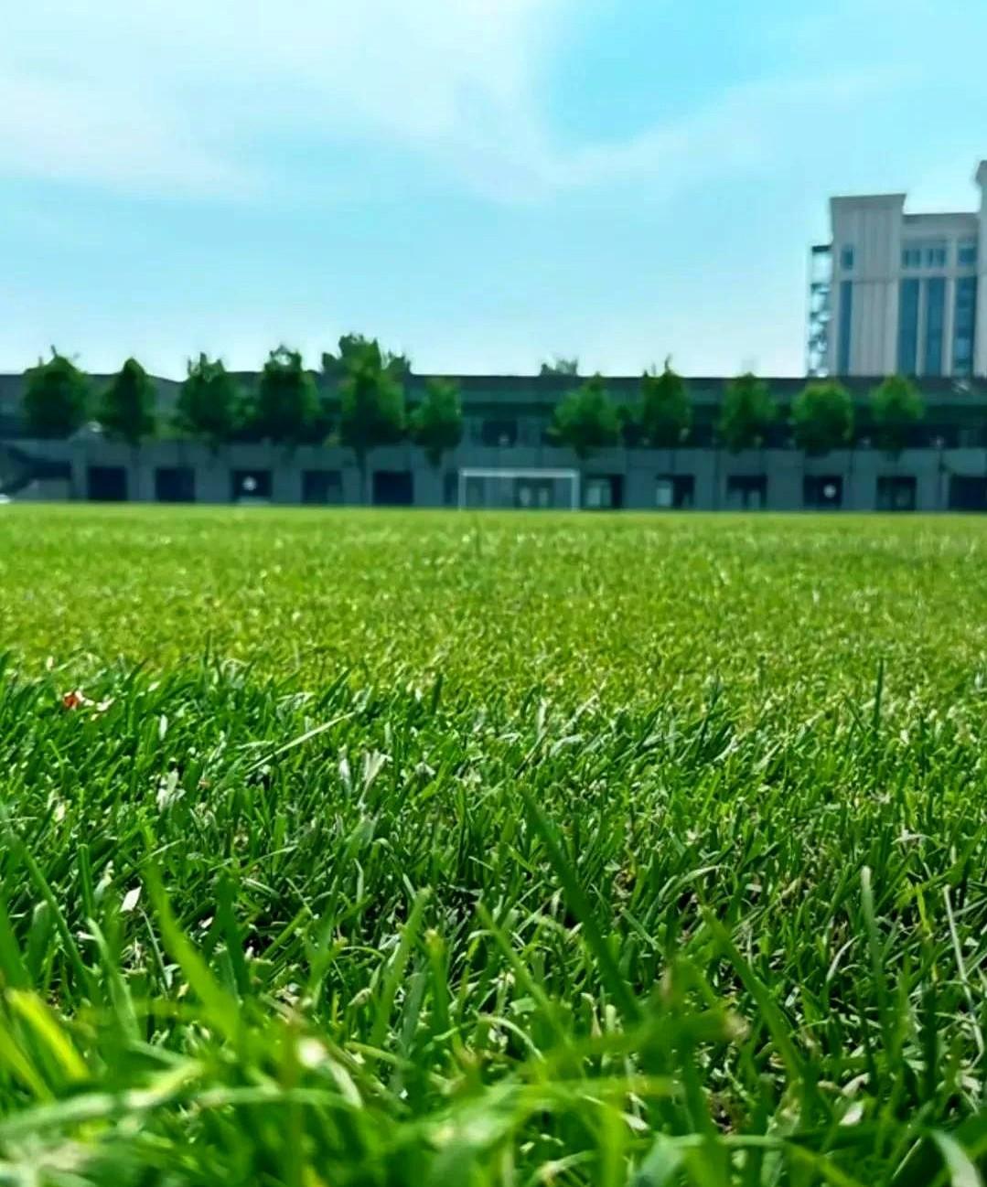 北京国安端午节后，将搬入魏翊东王长庆的聚加训练基地！北京国安俱乐部6月2日将