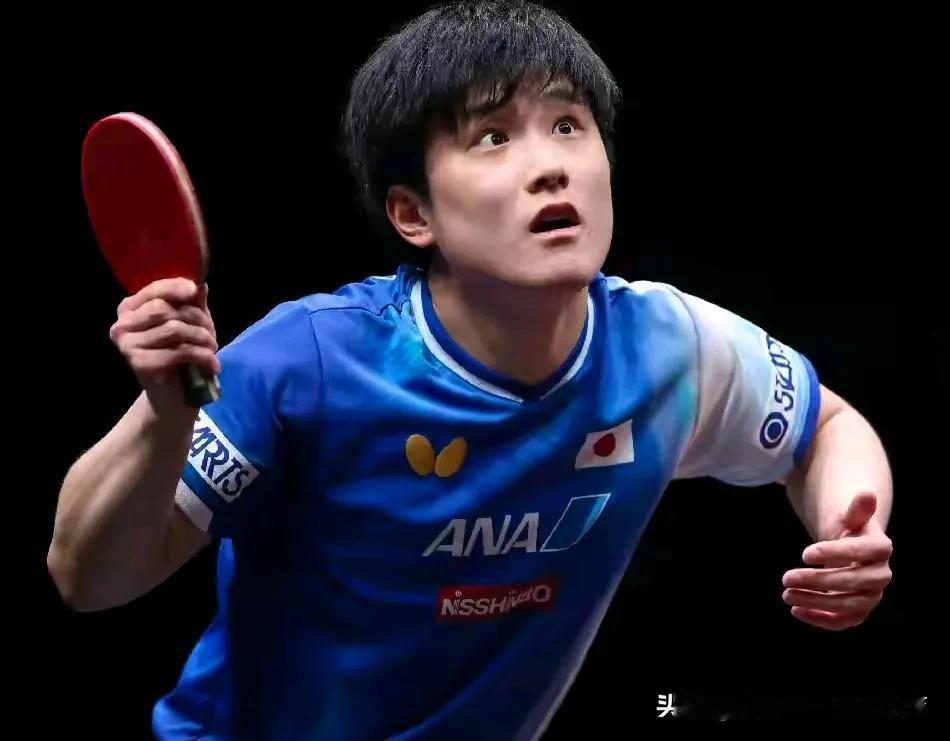 乒乓球🏓总决赛落幕，最终奖牌榜如下🌹1，🇨🇳中国队—1金2银—累计3