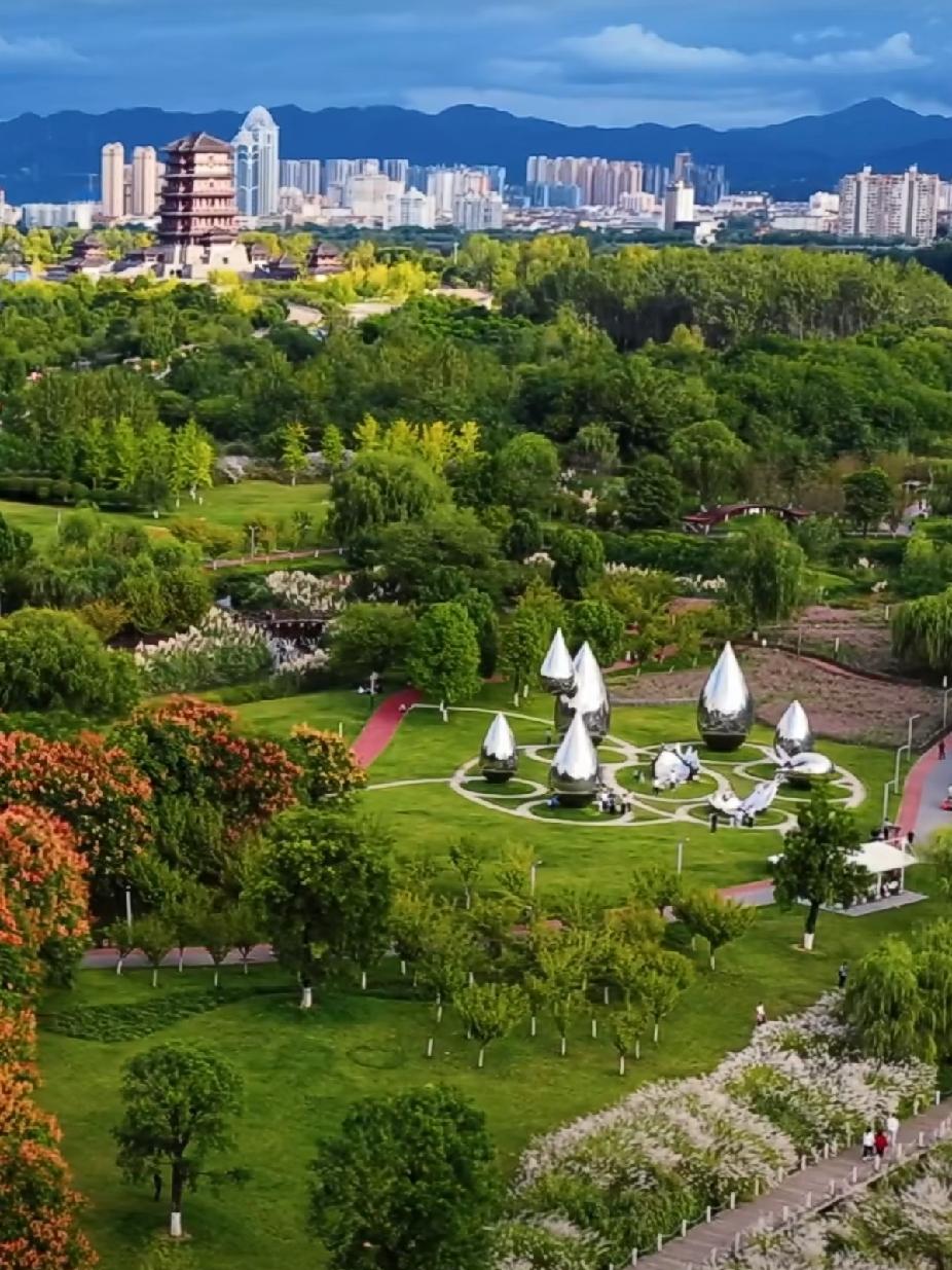 汉中湿地公园秋意正浓
