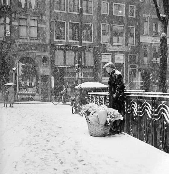 30年代，荷兰，阿姆斯特丹，在暴风雪中卖花的男子历史知识​​​
