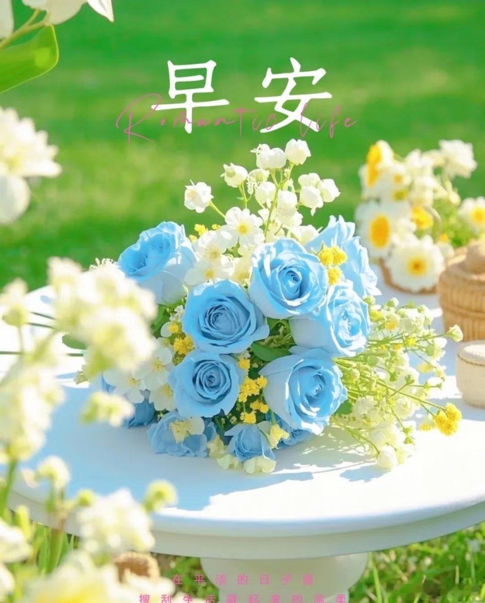 早安早安周末的风裹着夏日的热意，再普通的日子，也藏着专属你的浪漫惊喜。