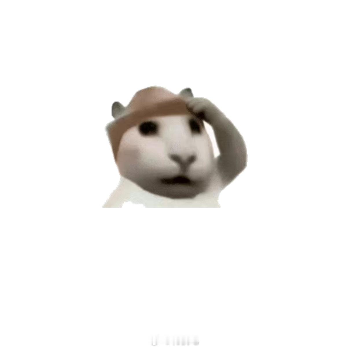 ？整理行李赫然发现家里只有3片尿布