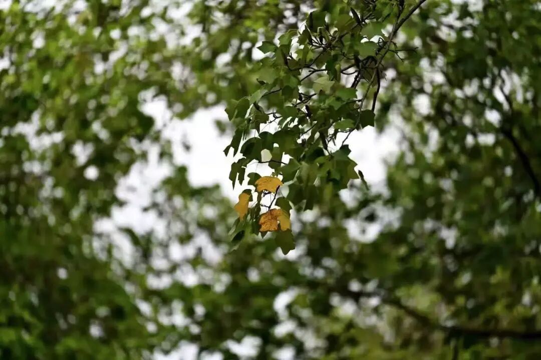 已抵达嘉兴! 接下来, 台风要扎堆了!