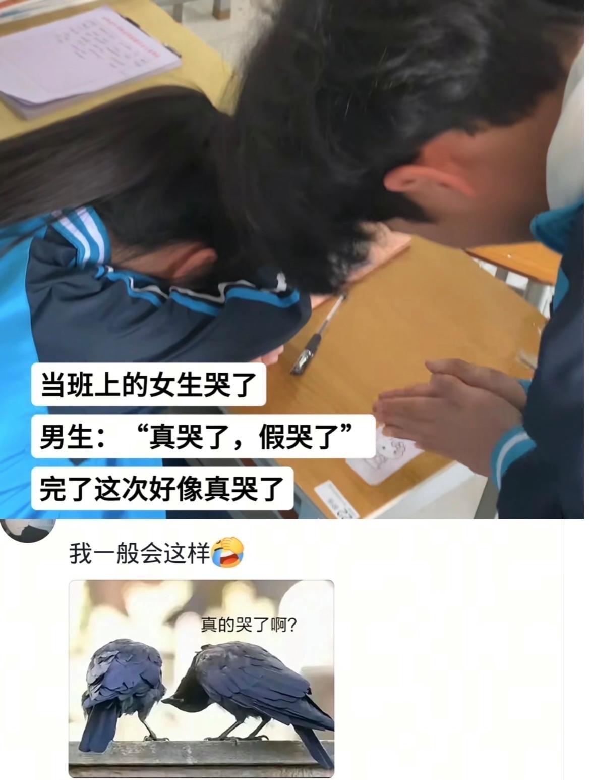 班上只要女孩子哭了，男孩子就一定会道歉！网友的分享让人笑岔气了