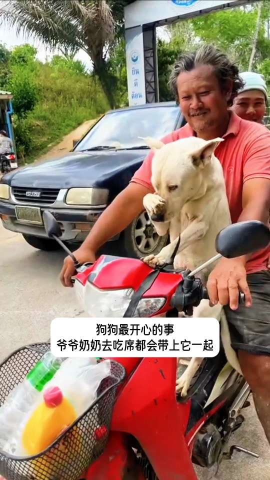 狗狗最开心的是爷爷奶奶吃席都会带上它