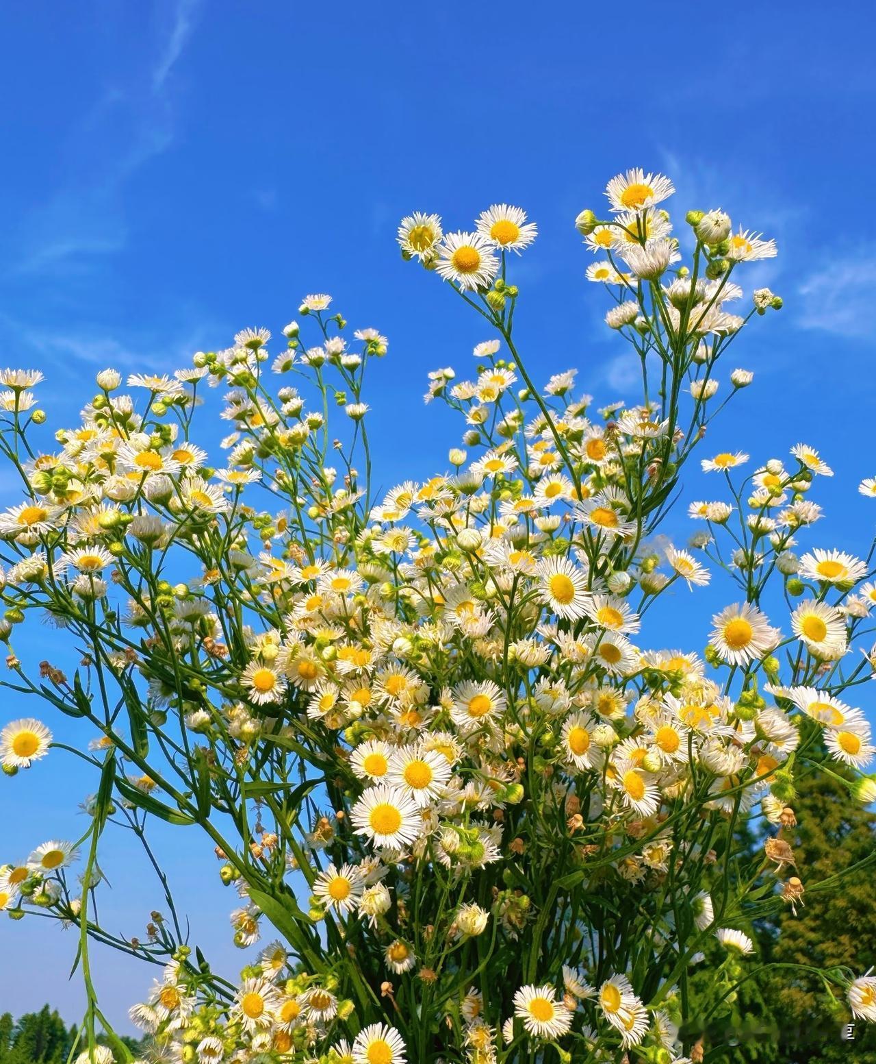 每天省吃俭用，还是存不下钱真的，我就是这样，太无奈了。我今年38岁，