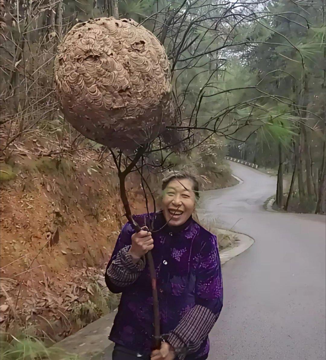 这位大妈胆子真大，马蜂窝都不怕，她居然还挺快乐的，旁边的人还在笑呢！