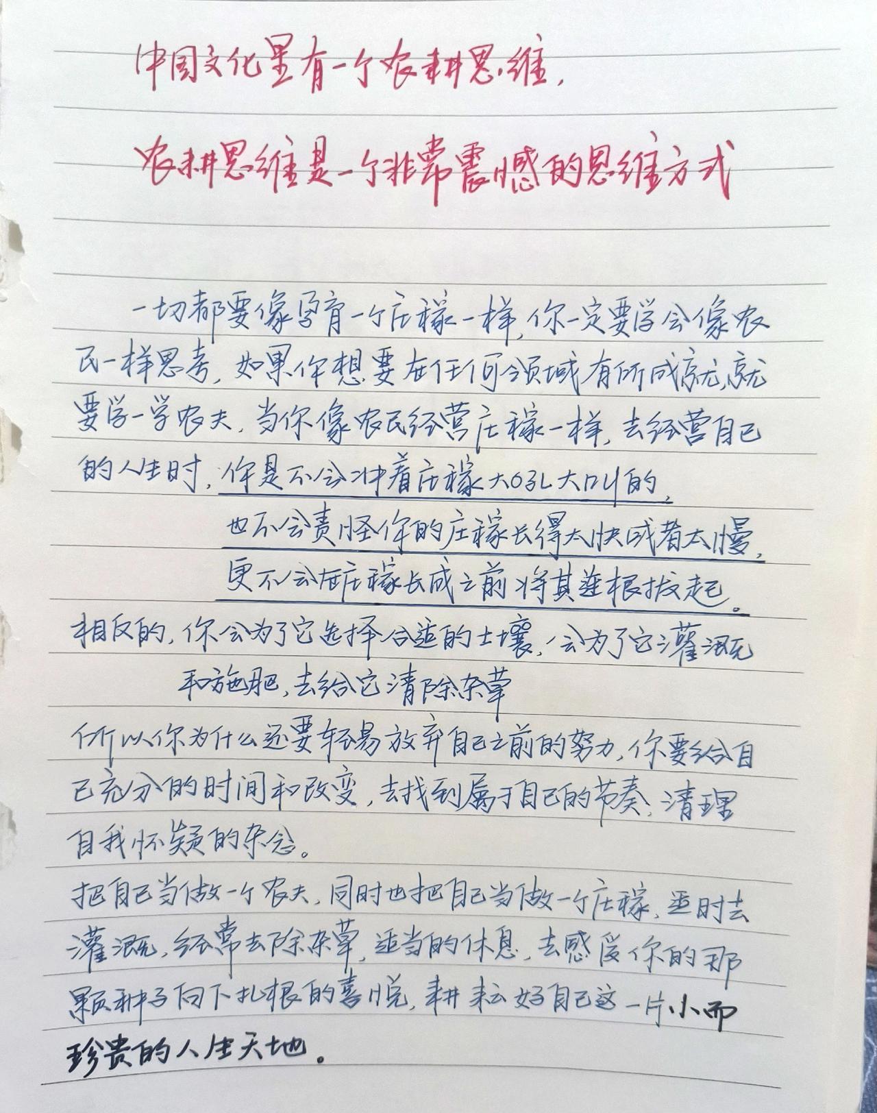 手写文字摘抄手写心得笔记农耕思维治愈