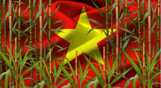 都在说苏林坐高铁是“体验”，我告诉你，这是外交史上最狠的一次“拒绝”。苏林坐