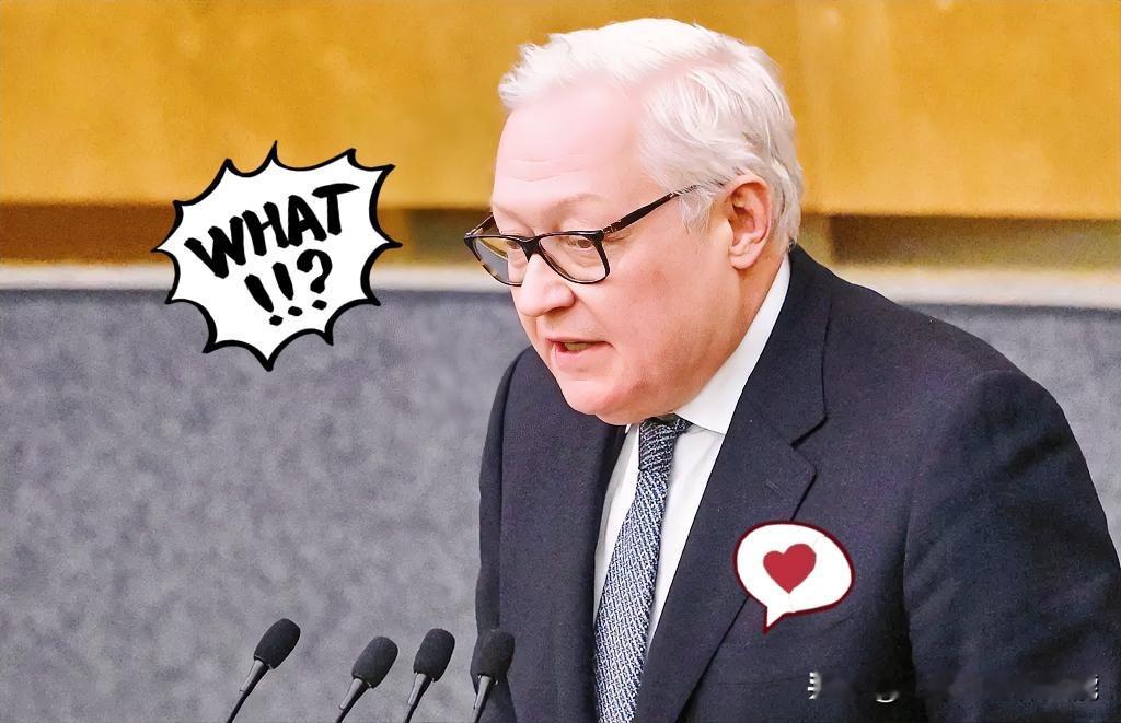 刚刚得知俄副外长宣布了！2025年11月29号，俄副外长里亚布科夫直接开麦