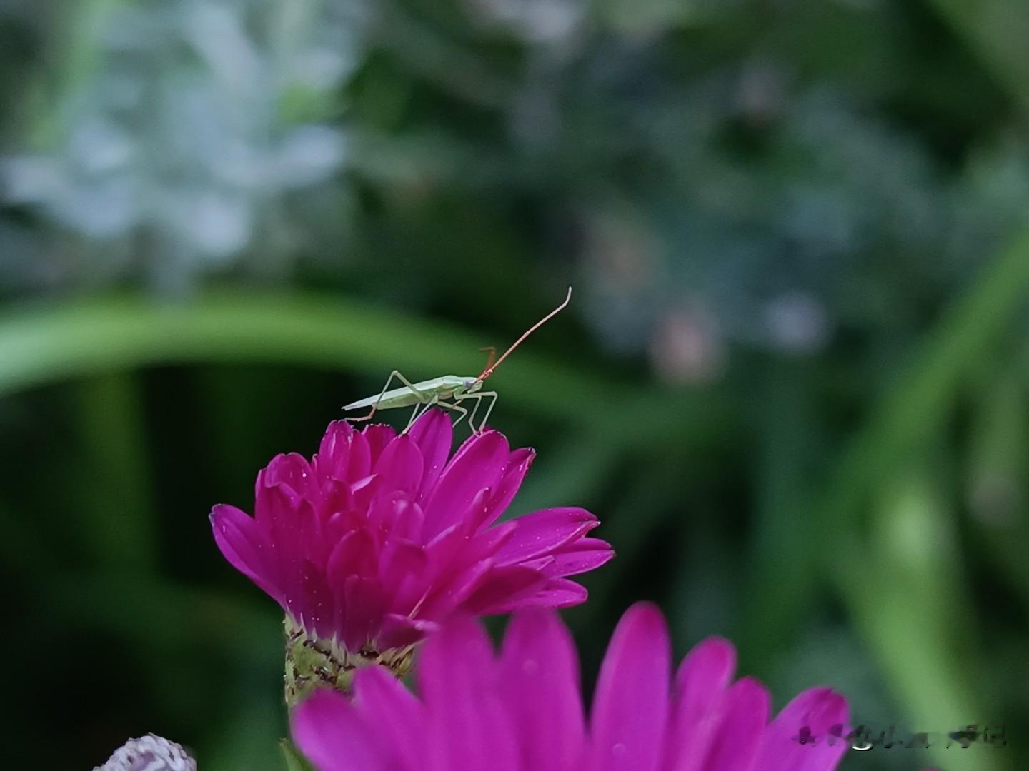 人内心深处都是慕强的，没有例外。大伯哥退休工资每月万余，婚姻生活不...