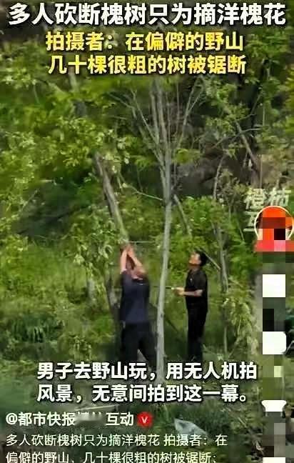 “作孽呀！”4月29日，陕西礼泉一男子旅游，用无人机拍风景，竟发现某村附近发现