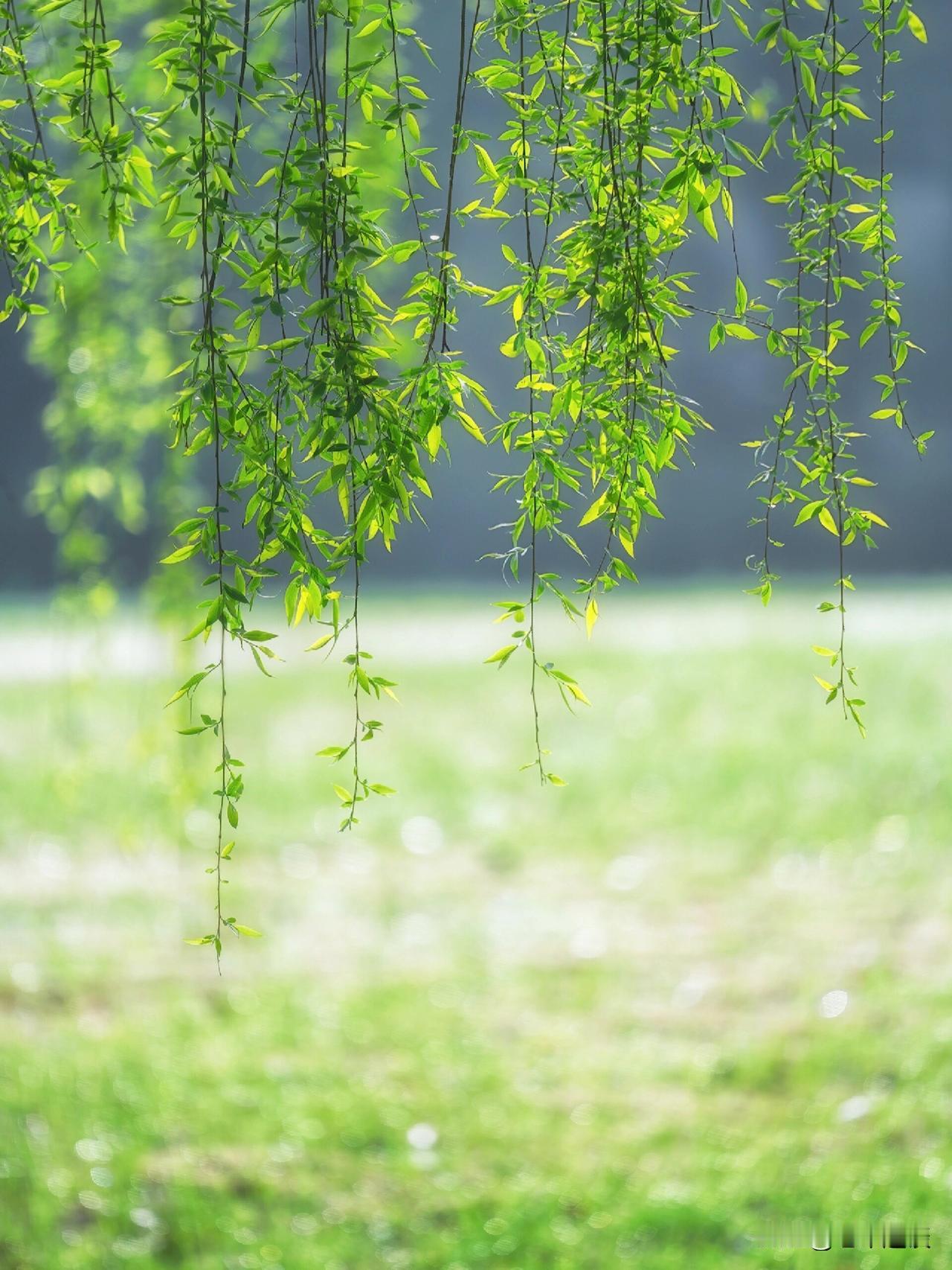 未来这几年，在这几个方面，你能稳得住吗？第一、稳住不换房，现在你的房子可能小