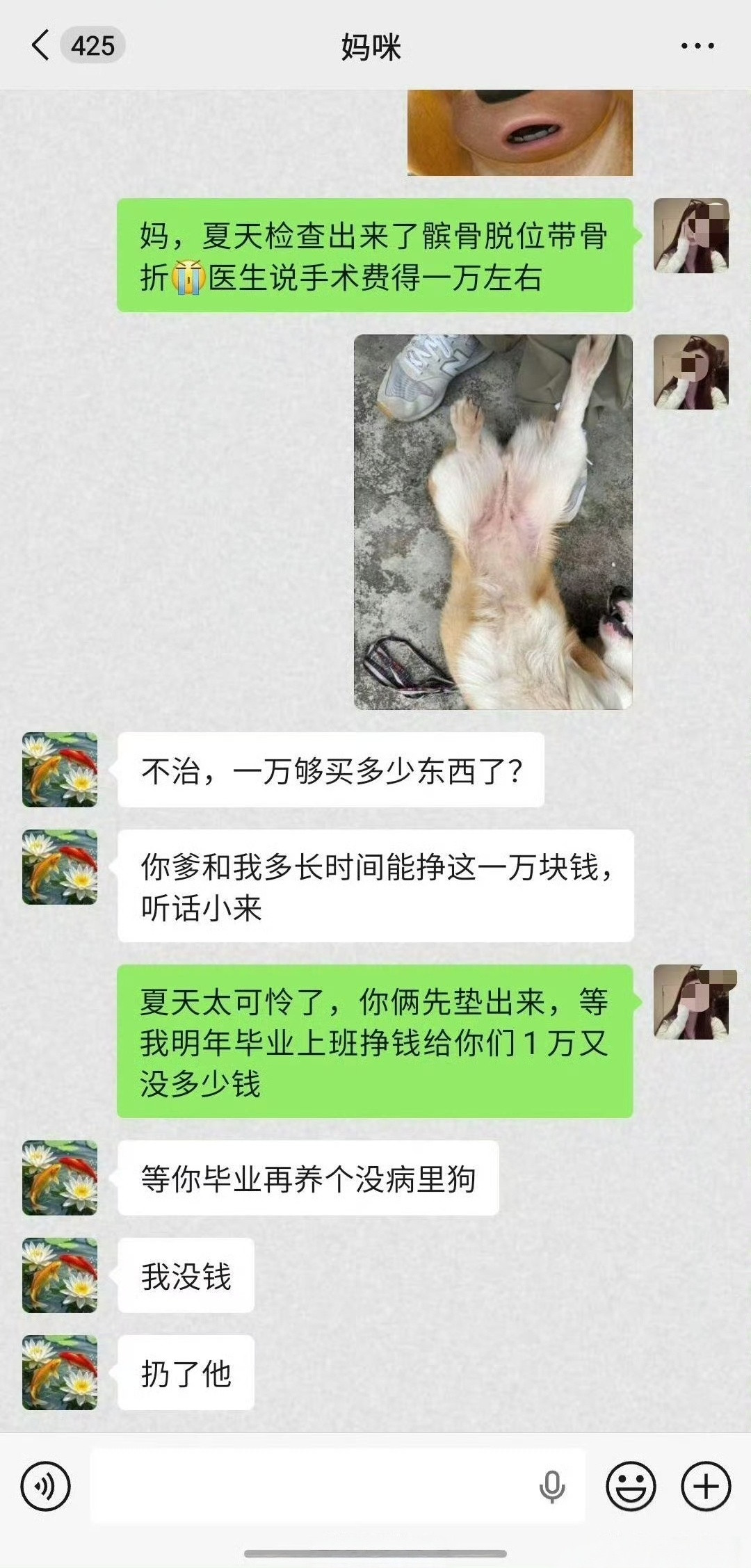 一万多又没多少钱，你们不肯救我狗，你们还是人吗？？？听听人言否，不是自己的钱真的