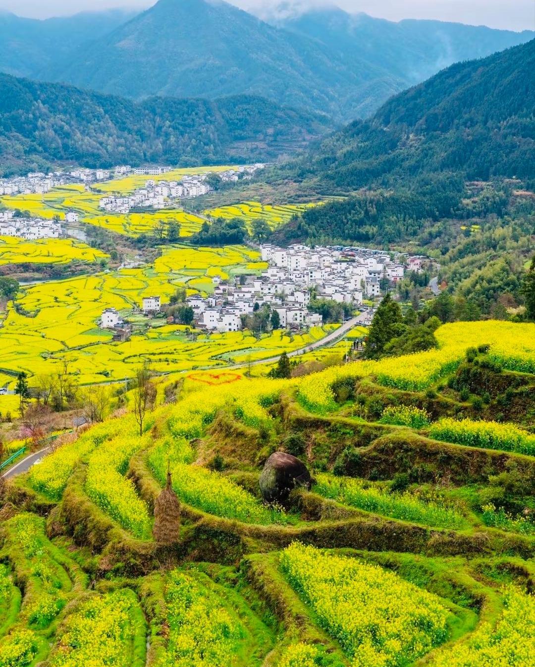 朋友老家江西，祖坟旁葬了位本家姑太，死了几十年，可奇怪的是，每年都会有一户湖北人